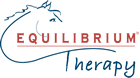 Equilibrium Therapy