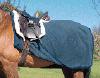 fleeceex.gif (12812 bytes)