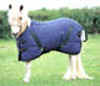 miniaturepony.jpg (8374 bytes)