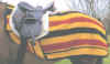 newmarket_rug.jpg (15283 bytes)