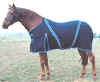 polar_fleece.jpg (4209 bytes)