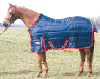 pony_warma.gif (13779 bytes)
